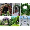 PERGOLA OGRODOWA - DEKORACYJNA I FUNKCJONALNA