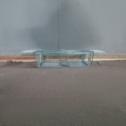 ŻYWOŁAPKA PUŁAPKA NA GRYZONIE - SKUTECZNE ROZWIĄZANIE