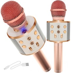 MIKROFON KARAOKE...