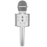 MIKROFON KARAOKE SREBRNY IZOXIS 22188 - DOSKONAŁA JAKOŚĆ DŹWIĘKU