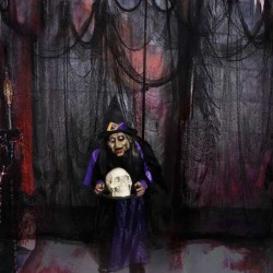 PAJĘCZYNA DEKORACJA 198X76CM - KLASYCZNA DEKORACJA HALLOWEEN