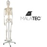 SZKIELET CZŁOWIEKA 170CM - EDUKACYJNY MODEL ANATOMICZNY