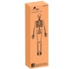 SZKIELET CZŁOWIEKA 170CM - EDUKACYJNY MODEL ANATOMICZNY