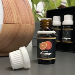 OLEJEK ETERYCZNY ZESTAW 6SZT. 10ML 21939 - NATURALNE ZAPACHY DLA DOMU