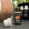 OLEJEK ETERYCZNY ZESTAW 6SZT. 10ML 21939 - NATURALNE ZAPACHY DLA DOMU