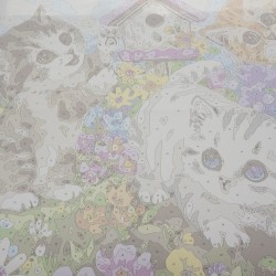 MALOWANIE PO NUMERACH 40X50CM KOTKI 22781 - ZABAWA I RELAKS