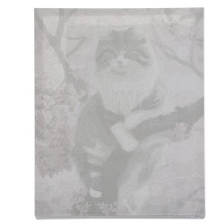 MALOWANIE PO NUMERACH 40X50CM KOTEK 22783 - IDEALNA ROZRYWKA DLA MIŁOŚNIKÓW SZTUKI