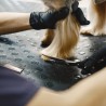 NOŻYCZKI DO STRZYŻENIA PSÓW - PROFESJONALNE NARZĘDZIE DO GROOMINGU