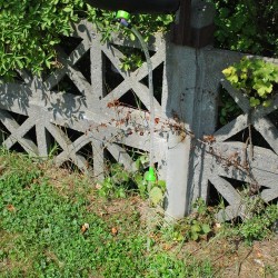 PRYSZNIC TURYSTYCZNY 20L 23493 - PRAKTYCZNY I LEKKI