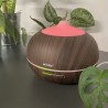 DYFUZOR ZAPACHOWY NAWILŻACZ 400ML DB 23509 - NOWOCZESNY DESIGN