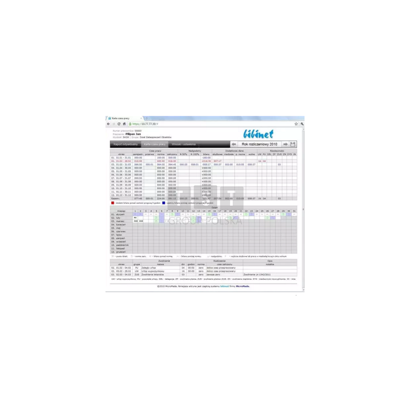 BIBI.PDP Podgląd raportów dla pracowników przez przeglądarkę internetową - opłata roczna
