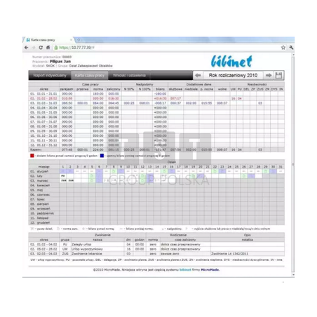 BIBI.PDP Podgląd raportów dla pracowników przez przeglądarkę internetową - opłata roczna