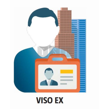 LIC-VISO-EX-PCA licencja na partycję dla VISO
