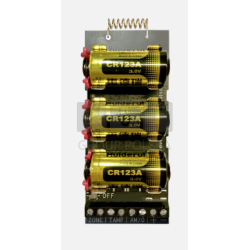 DS-PM1-I1-WE Mini moduł do...