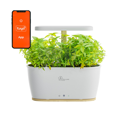 Extralink Smart Garden | Inteligentna doniczka | Wi-Fi, Bluetooth