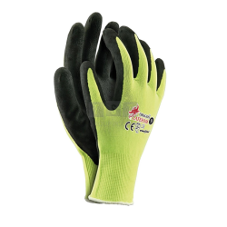 REIS LATEFOM DRAGON...