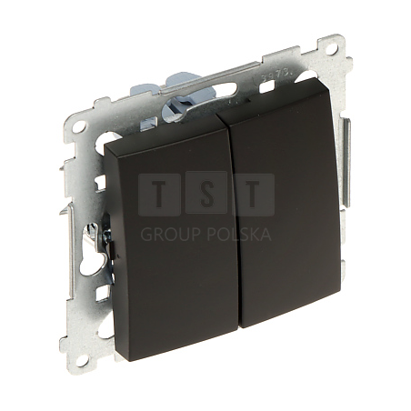 PRZYCISK PODWÓJNY CHWILOWY DP2.01/49-SIMON54 250 V 10 A