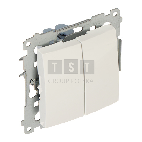 PRZYCISK PODWÓJNY CHWILOWY DP2.01/11-SIMON54 250 V 10 A