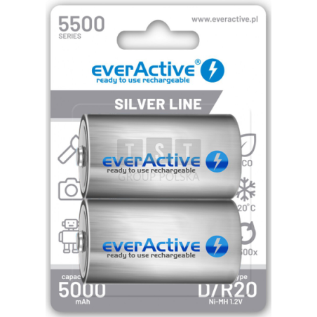 Akumulatorki D / R20 Ni-MH everActive 5500mAh Silver Line (box 2 szt.)
