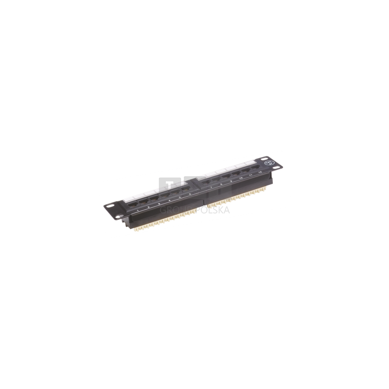 PK014 Patch panel 10'' UTP kat.5e 12 portwów